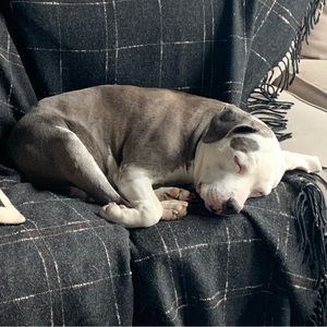 Meet your Posher, Dana